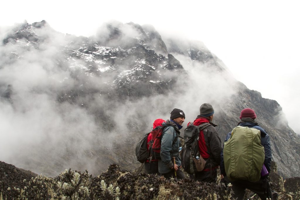 Climbing Rwenzori Mountains