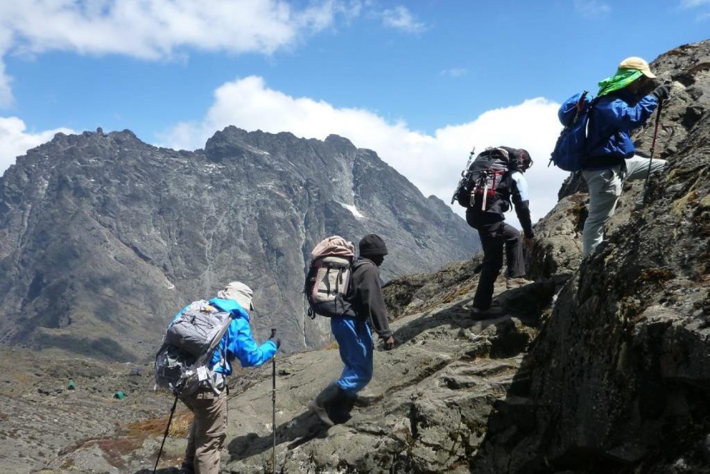 Hikers on their trek to the top o Mountain Rwenzori, part of Rwenzori hike and Uganda safari