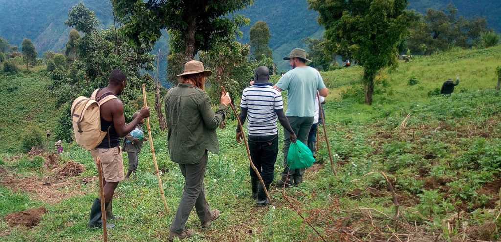 Rwenzori Ruboni Community walk